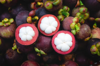 Discover the Mangosteen Fruit