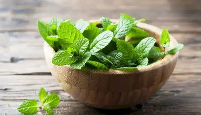 Discover the Nutritional Power of Mint Leaves