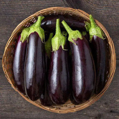 Discover the Versatility of Eggplant