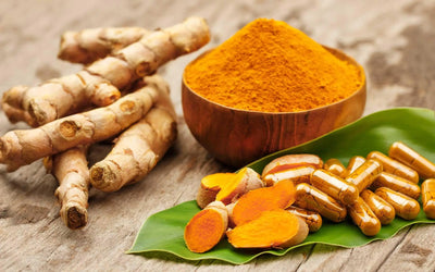 The Diverse Uses of Berberine