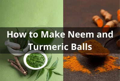 DIY Neem and Turmeric Balls: Benefits and Variations