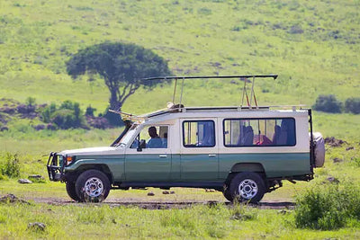 Eco-Friendly Safari Cruise Packages