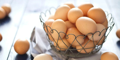 Egg Nutrition and Health Benefits Explain Why It’s A Superior Food