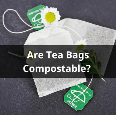 The Environmental Impact of Tea Bags