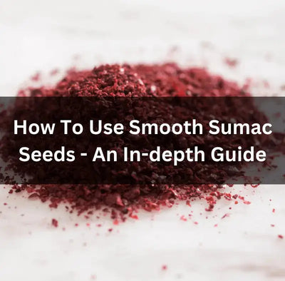 Exploring the Benefits of Smooth Sumac Seeds