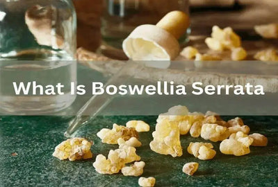 Exploring Boswellia Serrata: Health Benefits and Safety Guidelines