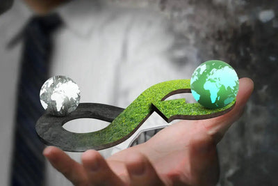 Exploring Circular Economy Initiatives