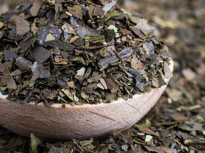 Exploring Guayusa Tea for a Lower Caffeine Option