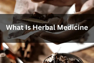 Exploring Herbal Medicine