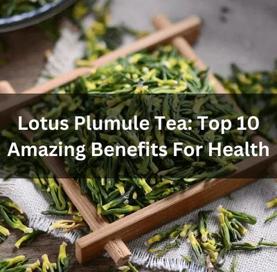 Exploring Lotus Plumule Tea