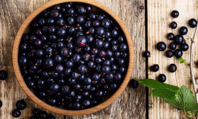 Exploring Nutrient-Rich Berries in South America