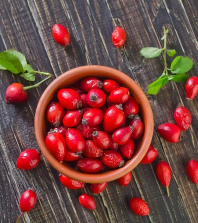 Exploring the Nutrient-Rich Rose Hips