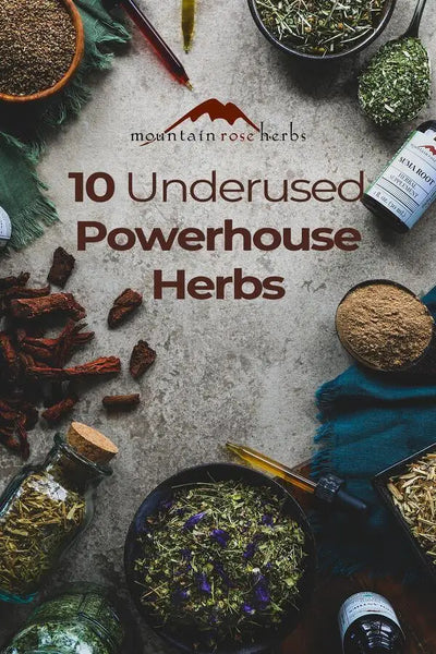 Exploring Uncommon Herbs for Wellness