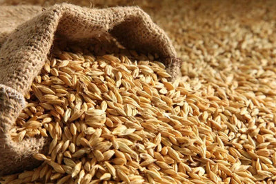 Exploring the Versatility of Malt