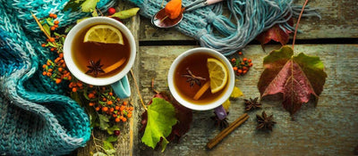 Herbal Medicines for Fall and Winter