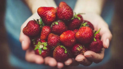 Fisetin: The Anti-Aging Benefits of Strawberries