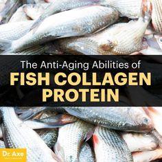 Fish Collagen: The Best Source for Collagen Bioavailability