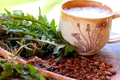Detox Naturally: Harnessing the Power of Dandelion Root for Wellness
