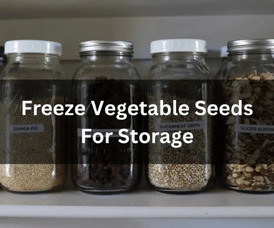 How to Freeze Vegetable Seeds for Storage