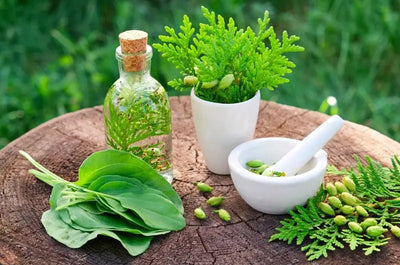 Nature's Secrets: Your Guide to Herbal Healing