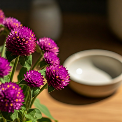 Globe Amaranth from Seed: Pinching for Bushier, Bloom-Heavier Plants