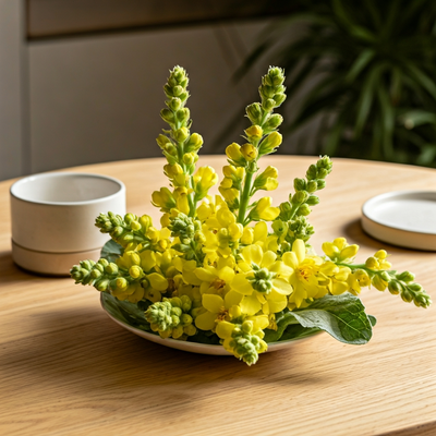 Great Mullein Aesthetics: Dramatic Vertical Interest for Dry Borders