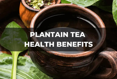 The Growing Popularity of Plantain Tea