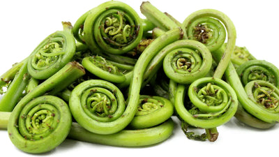 A Guide to Fiddlehead Ferns