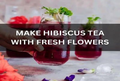 Guide to Making Fresh Hibiscus Tea