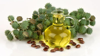 The Healing Benefits of Castor Oil