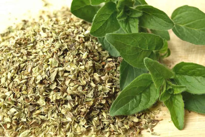 The Healing Power of Oregano