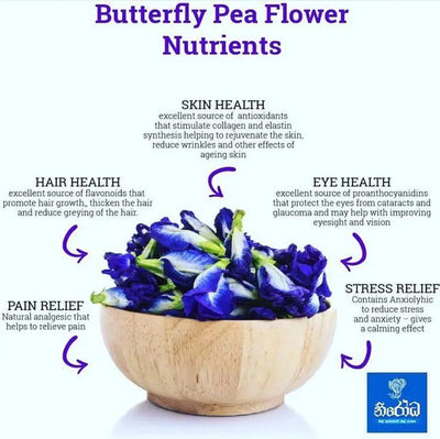 The Healing Properties of Butterfly Pea Flower Tea