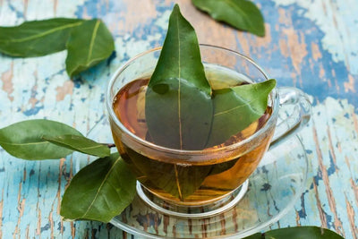 The Health Benefits of Bay Leaf