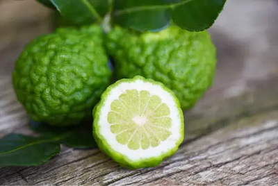 Health Benefits of Bergamot Tea