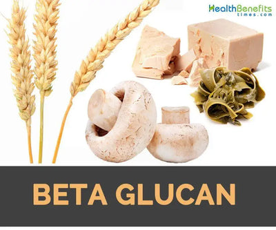 The Health Benefits of Beta Glucan Fiber