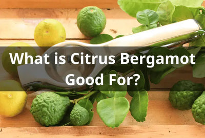 The Health Benefits of Citrus Bergamot Tea