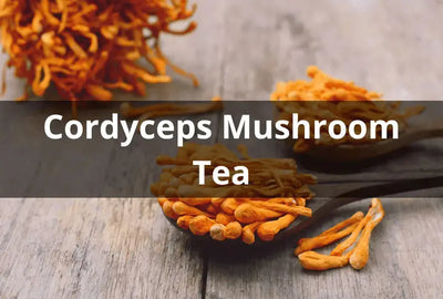 The Health Benefits of Cordyceps Mushroom Tea