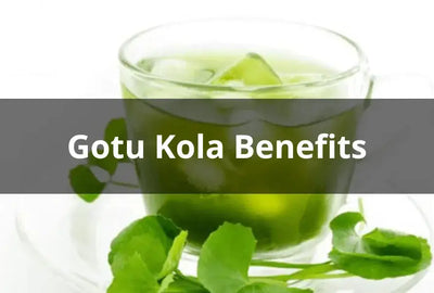 The Health Benefits of Gotu Kola Tea