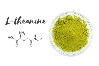 The Health Benefits of L-Theanine in Tea