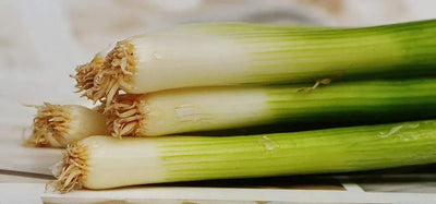 The Health Benefits of Leeks