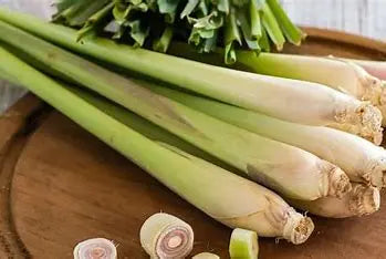 The Health Benefits of Lemongrass for Digestion