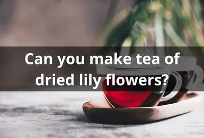 The Health Benefits of Lily Flower Tea