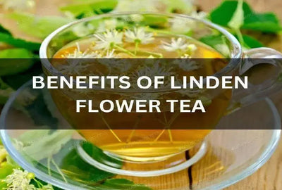 The Health Benefits of Linden Flower Tea