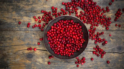 The Health Benefits of Lingonberry