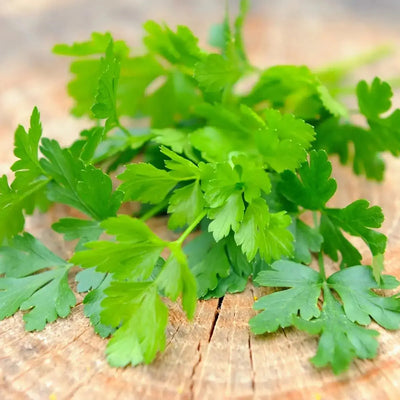 The Health Benefits of Parsley