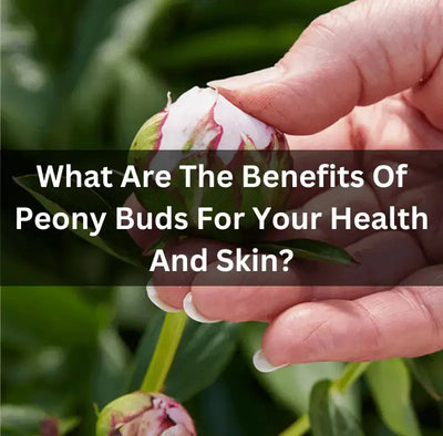 The Health Benefits of Peony Buds