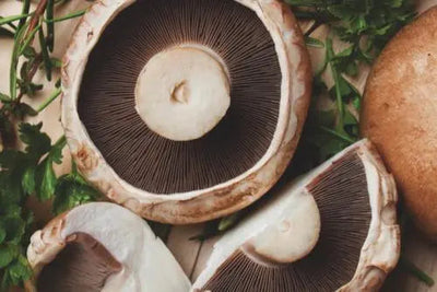 The Health Benefits of Portobello Mushrooms