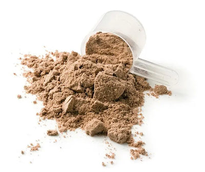 Hemp Protein Powder: Nature’s Best Plant-Based Protein