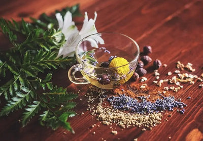 Unlocking Nature's Remedies: A Comprehensive Guide to Herbal Medicine