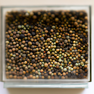 Sustainable Craftsmanship: The Power of Tree Seeds and Herbal Ingredients